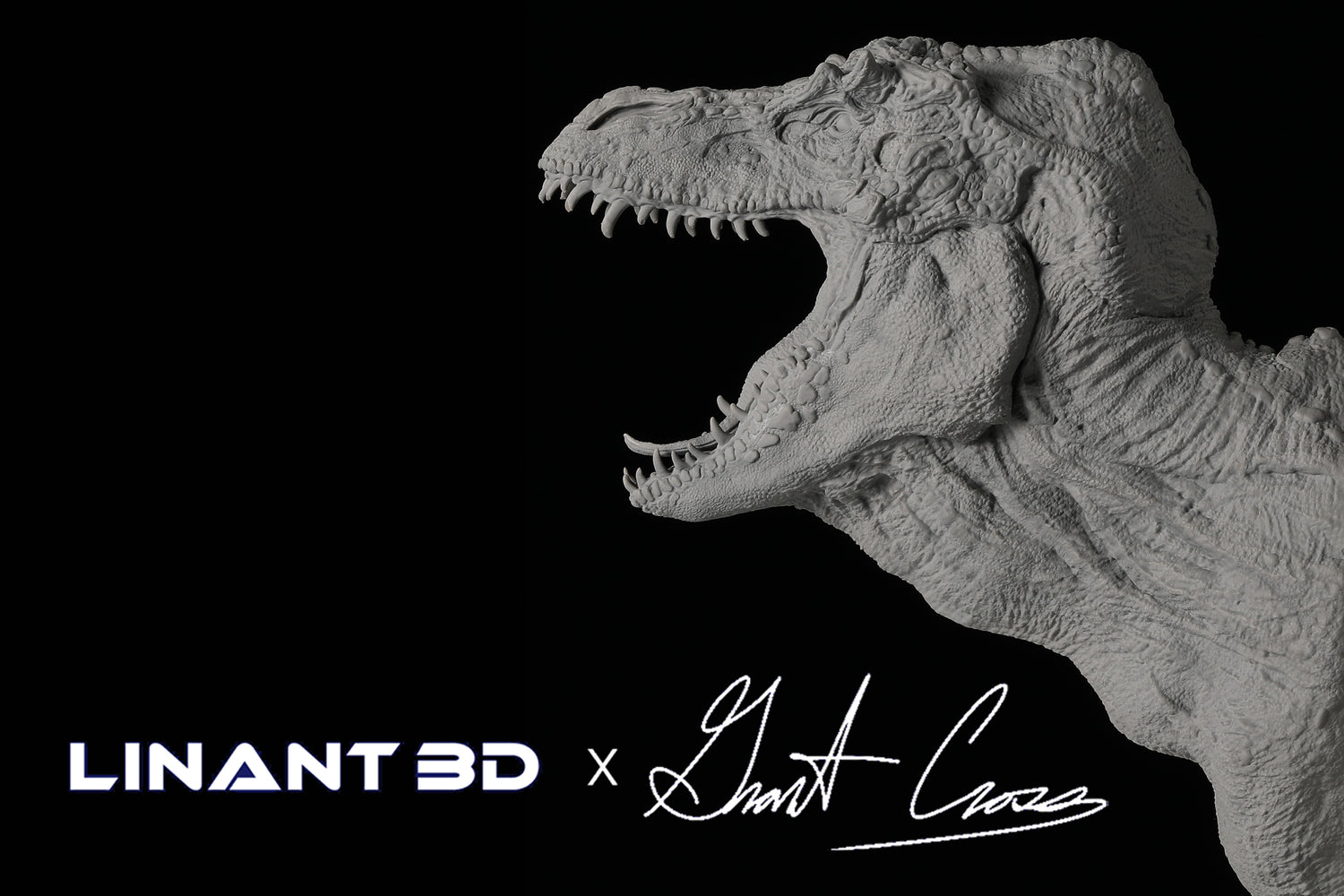 LINANT 3D X Grant Cross - Interview